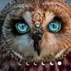 owleyewitch